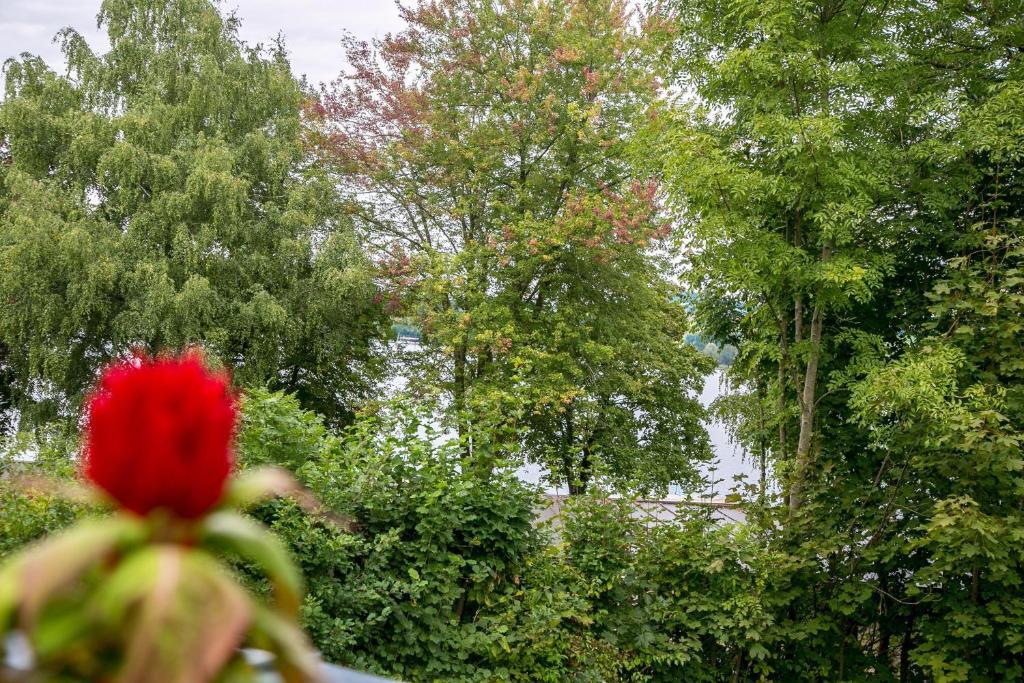 Hotel Seebrunn Am Wallersee Хендорф-ам-Валерзее Екстериор снимка